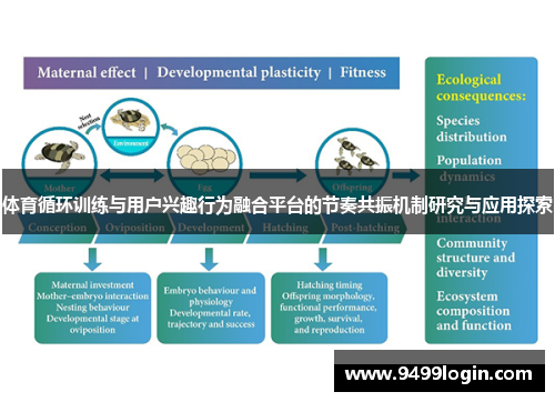 体育循环训练与用户兴趣行为融合平台的节奏共振机制研究与应用探索